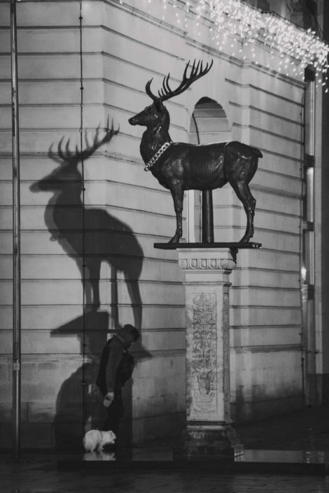 Hirschstatue vorm Alten Rathaus in Magdeburg, die einen Schatten an die Hauswand wirft, unmittelbar vor dem Schattenhirsch läuft ein Spaziergänger mit Hund