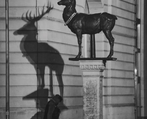 Hirschstatue vorm Alten Rathaus in Magdeburg, die einen Schatten an die Hauswand wirft, unmittelbar vor dem Schattenhirsch läuft ein Spaziergänger mit Hund